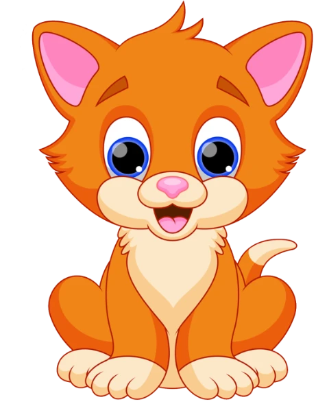 Koťata
